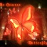 Crimson Butterfly 的头像