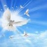 God bless you profil fotoğrafı