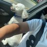 clayvon's profile picture