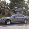 Фото профиля Greymustang01