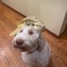 Kinnick21 的头像