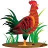 dafuqmon 🐔 profil fotoğrafı