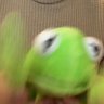 frantic kermit 🐸's profile picture