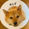 Фото профиля NAHOKO