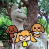 ムッさ💛 的头像