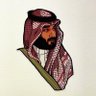 Фото профиля Sultan Alanazi
