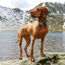NABE profil fotoğrafı