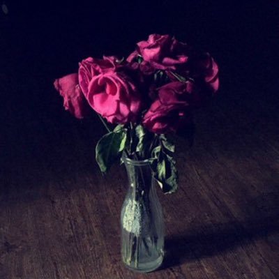 sose_17's profile picture