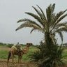 Фото профиля تهامي الهوى والهوية