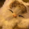sewda gökhan profil fotoğrafı