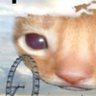 Profilbild von Ganimedes