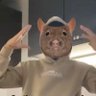 Schac's profile picture