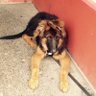 Willieson.US's profile picture