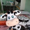 lilybell's profile picture