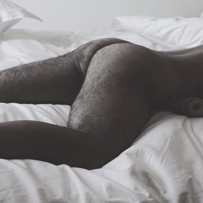 hairybabee's profile picture