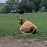 M Restivo's profile picture