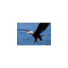 Dr.Wessam Zaki's profile picture