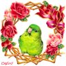 彩羽🐦小鳥専門アーティスト 的头像