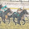 MIZUKI 競馬アナリスト profil fotoğrafı
