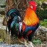 Фото профиля Mohamed Talaat