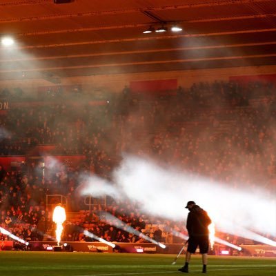 steve new's profile picture