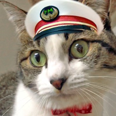 toraneco_travel's profile picture