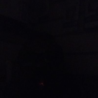 mtz1998_1_1's profile picture