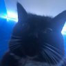 Profilbild von shorty