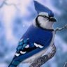 Profilbild von Halima