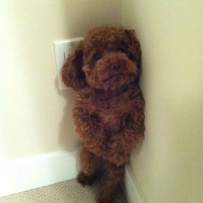 plzksw's profile picture