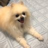 ソルちゃん's profile picture