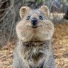 Rawon ๐'s profile picture