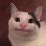 Profilbild von Jiong zZ