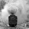 D51-1116 profil fotoğrafı
