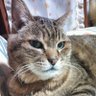あっこ profil fotoğrafı