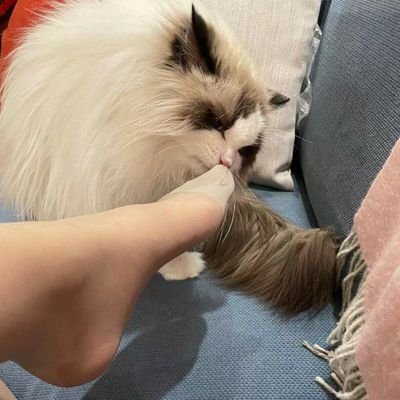 PantyhoseSecret's profile picture