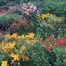 Фото профиля لاعب حر