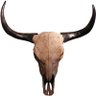 Profilbild von Bull Horn
