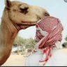 سمران 🐪 profil fotoğrafı