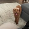 Teddy 的头像