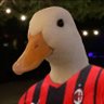 Profilbild von Quacker
