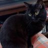 Фото профиля Kohi needs coffee 🎗️