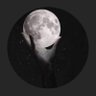 NT🇱🇧's profile picture