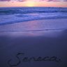 Seneca Garcia profil fotoğrafı