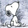 W.H.'s profile picture