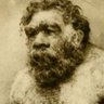 Aus Stats's profile picture