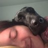 monica's profile picture