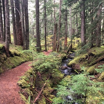 WestPDXGlory's profile picture