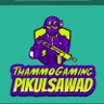 Profilbild von ThammoGamingYT