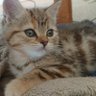 Okabbd profil fotoğrafı